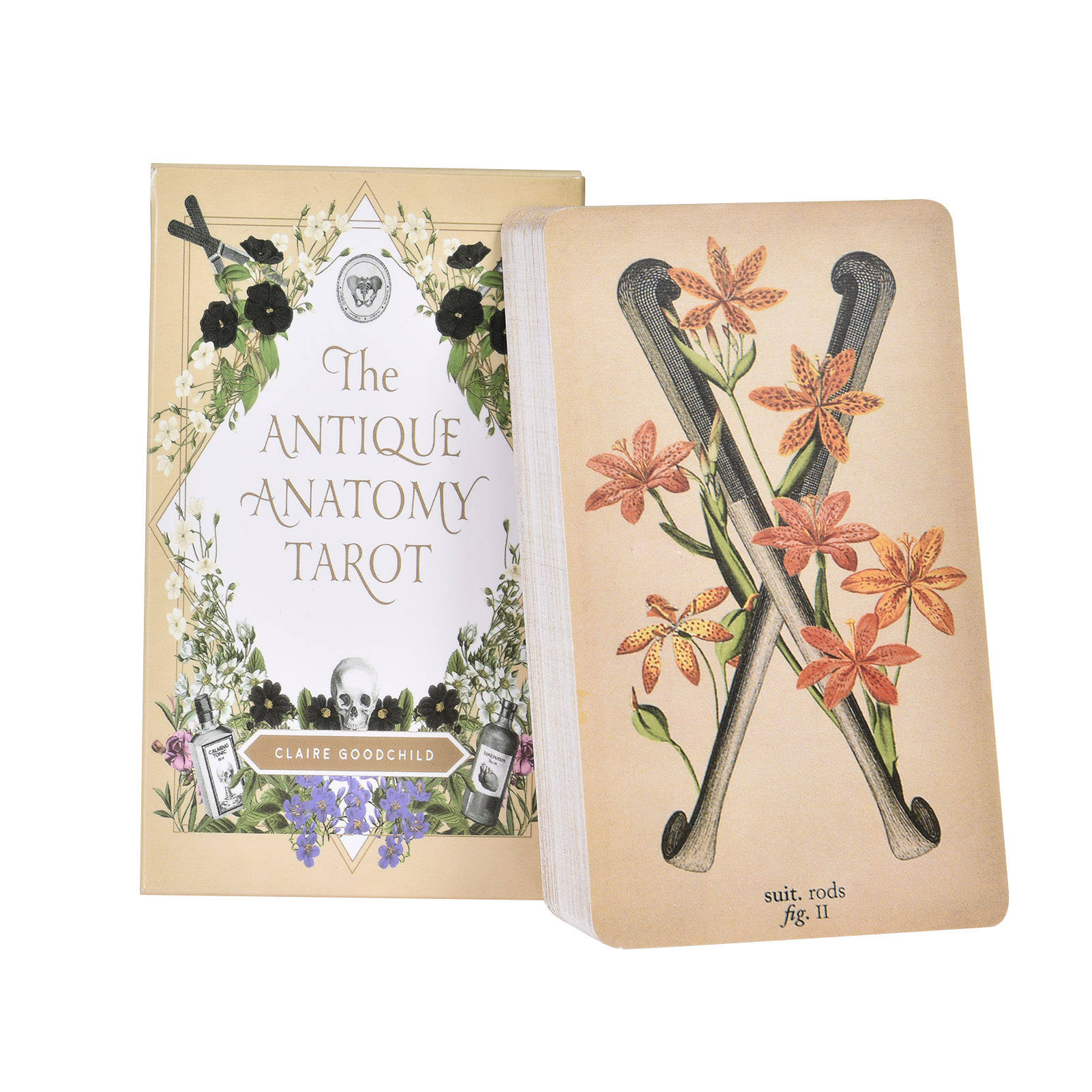 Tarot Deck With Guidebook - Antik Anatomi Tarot Kartları İngilizce Versiyonu