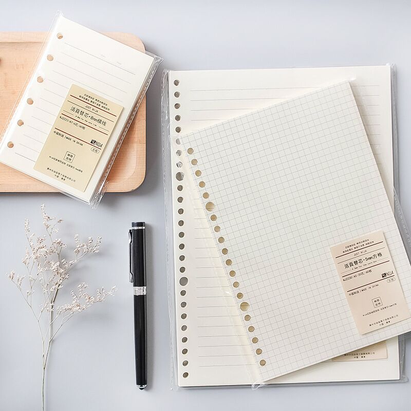 A5 B5 Çizgi Izgarası 20 Delik  - A5 Spiral Dotted Grid Notebook incelemesi ve fiyatı