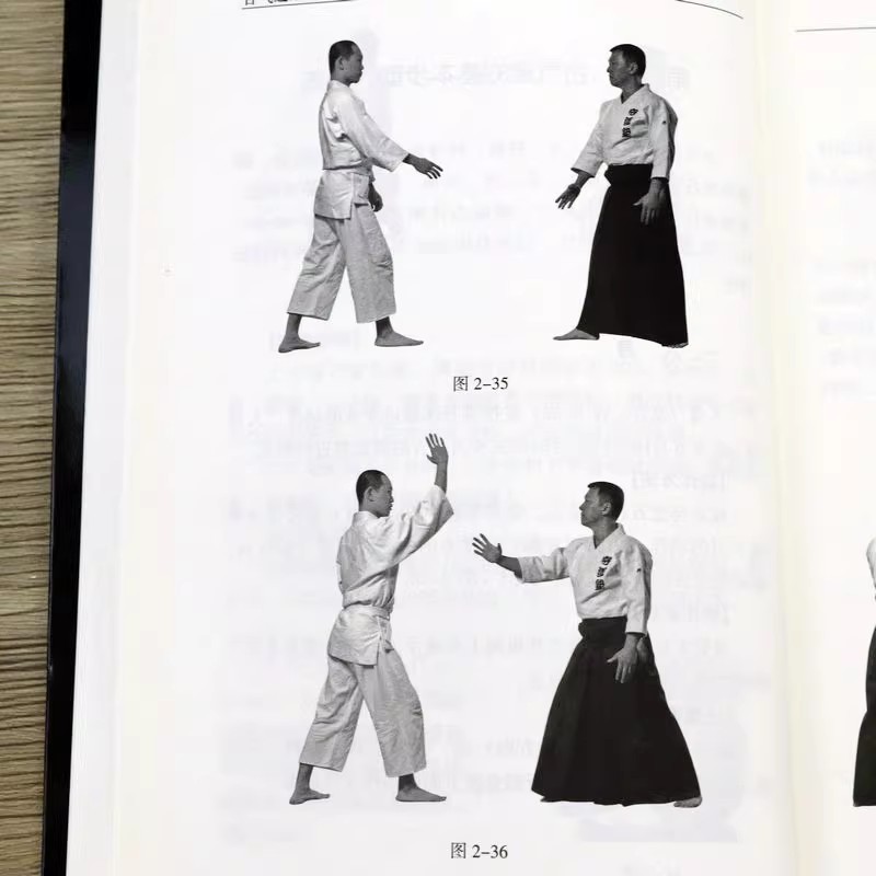 Modern Dövüş Serilerine Giriş  - Books incelemesi ve fiyatı